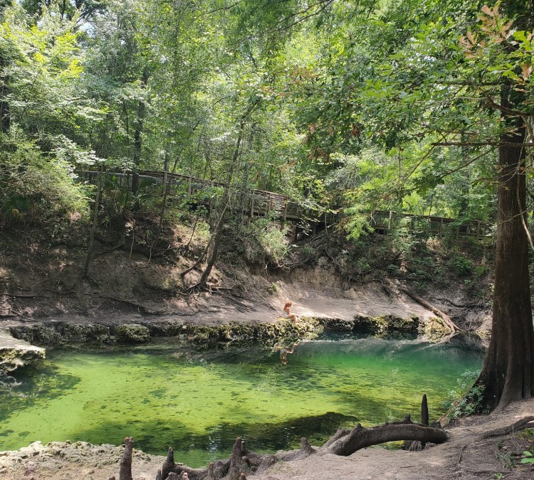 Lafayette Blue Springs State Park (Mayo,&nbspFL)